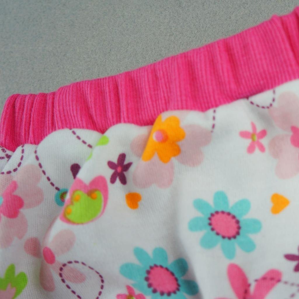 Fitwarm Washable Pink Floral Female Pet Dog Diaper Sanitary Pants Season Heat Nappies Clothes Apparel 4
