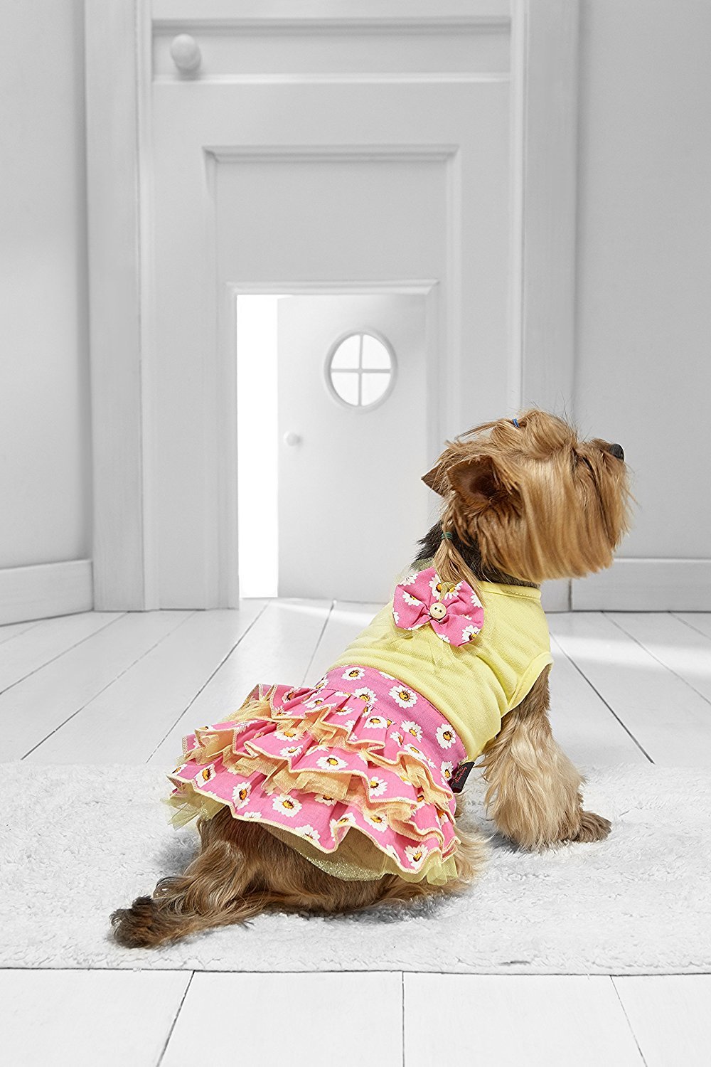 Toy Dog Tutu Dress For Yorkie Chihuahua Pom Papillon Lhasa Apso Maltese Shih Tsu 6