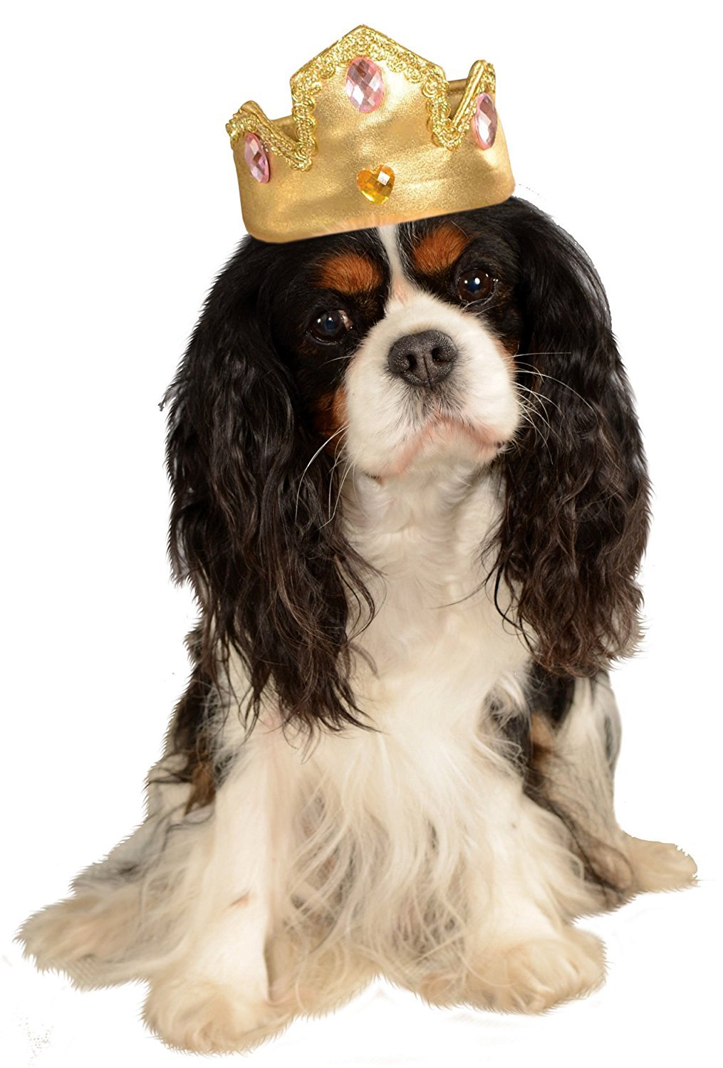 Rubies Costume Company Gold Tiara with Pink Stones Pet Costume Accessory