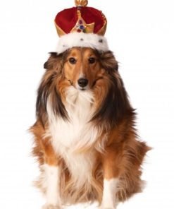 Rubies Costume Company King's Crown Pet Costume Accessory