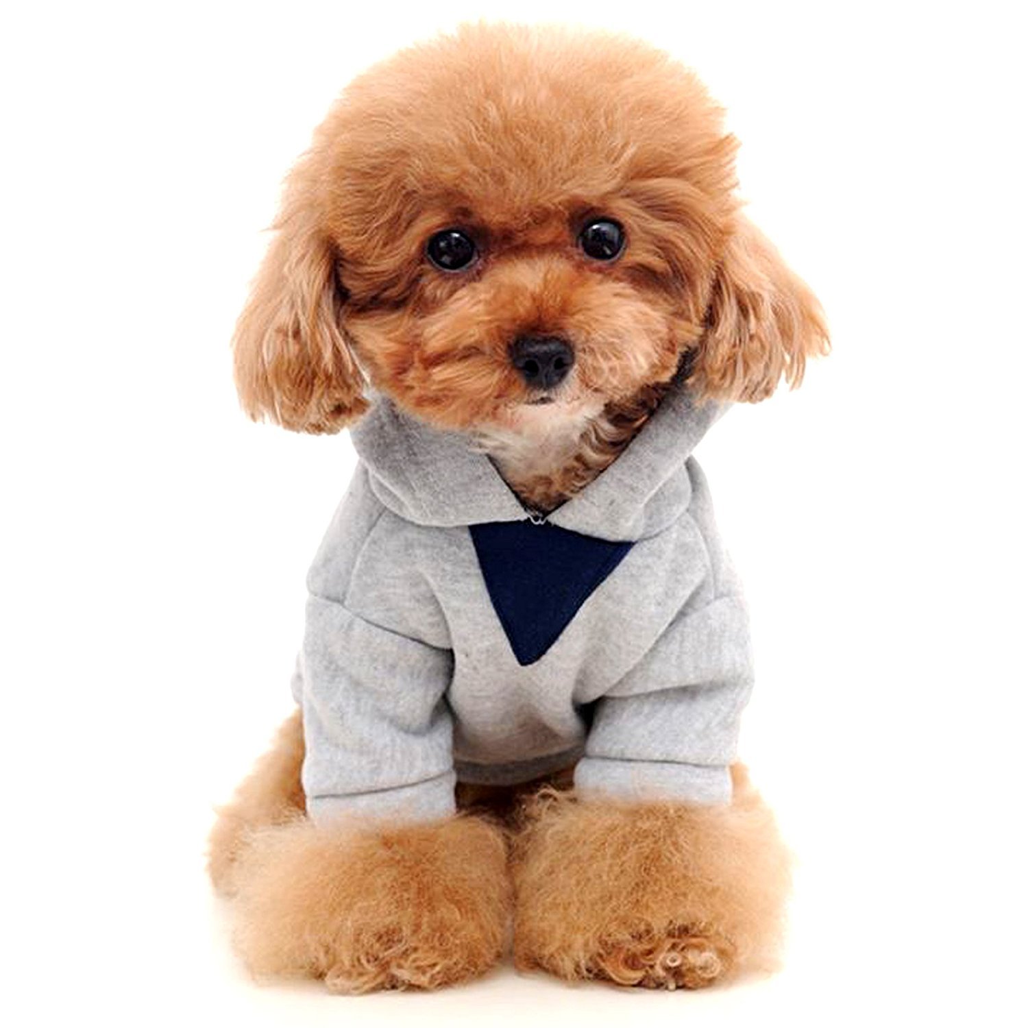 Alfie Pet by Petoga Couture - Wynna All-Season Hoodie