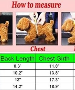 Idepet(TM) Pet Dog Cat Coat with Leash Anchor Color Patchwork Padded Puppy Vest Teddy Jacket Chihuahua Costumes Pug Clothes XS S M L 5