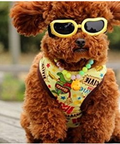 Namsan Fashion Anti-ultraviolet Sunglasses Goggles Waterproof Pet Sunglasses For Cats or Small Dogs 2