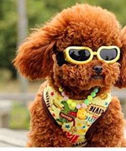 Namsan Fashion Anti-ultraviolet Sunglasses Goggles Waterproof Pet Sunglasses For Cats or Small Dogs