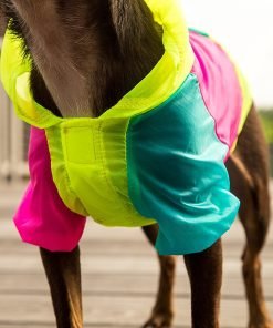 Neon Dog Jacket - Teacup, XXS, XS and Small Dog Clothes - Chihuahua and Yorkie Clothes 4