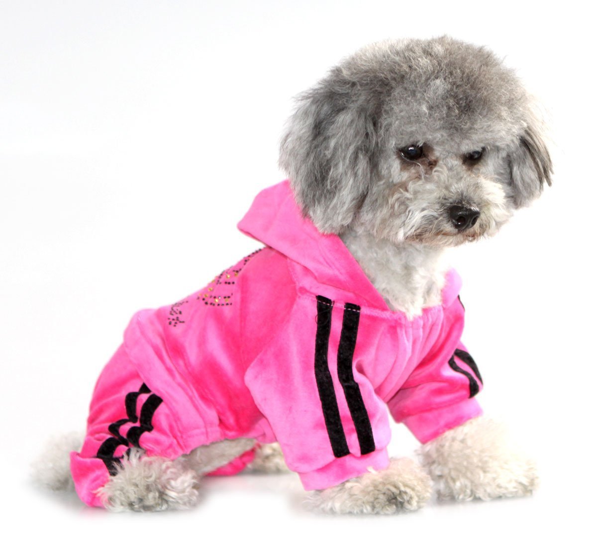 SMALLLEE_LUCKY_STORE Pet Clothes for Small Dog Cat Soft Velvet Crown Jumpsuit Coat Hooide Pajamas Tracksuit 5