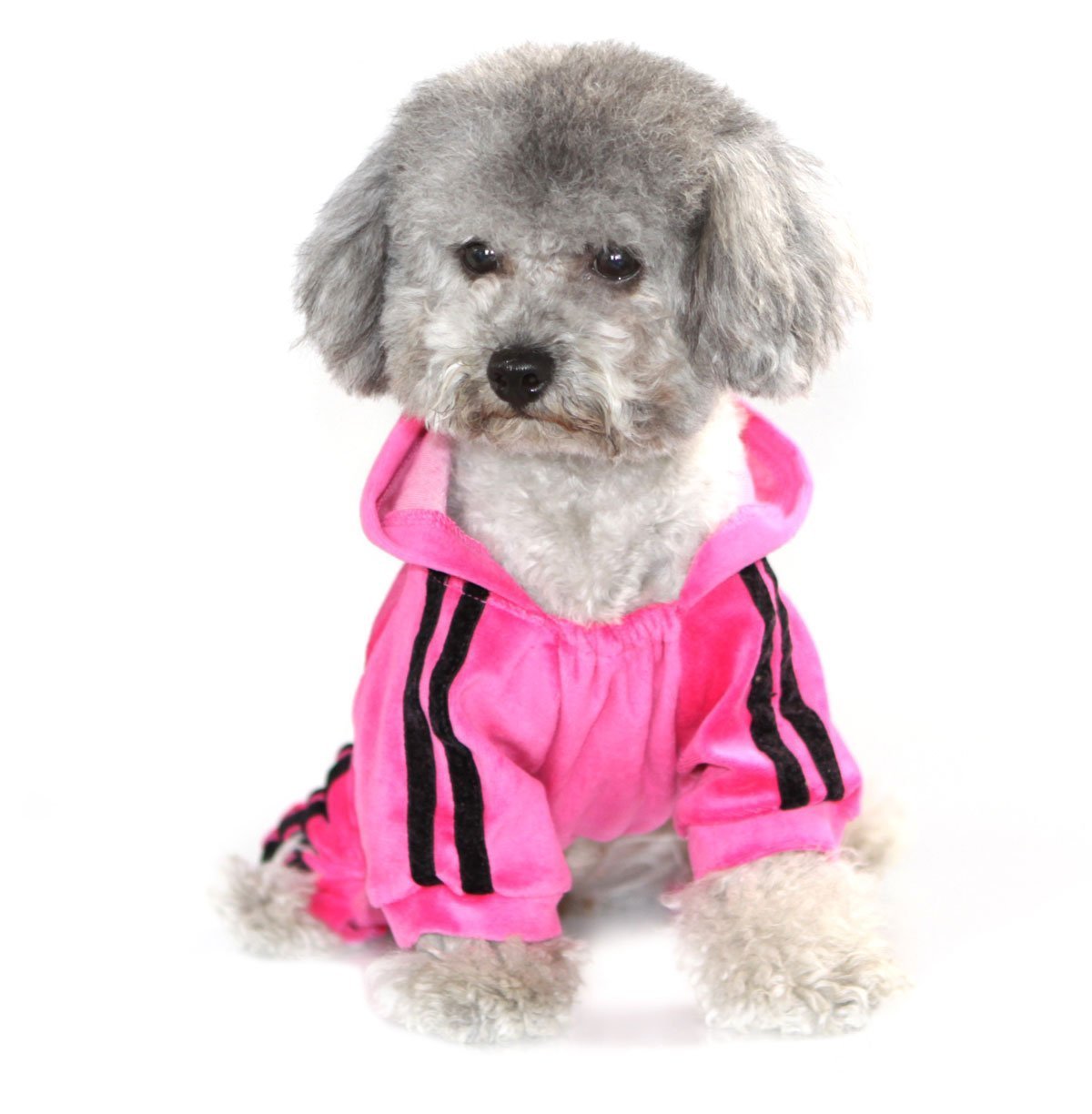 SMALLLEE_LUCKY_STORE Pet Clothes for Small Dog Cat Soft Velvet Crown Jumpsuit Coat Hooide Pajamas Tracksuit 6