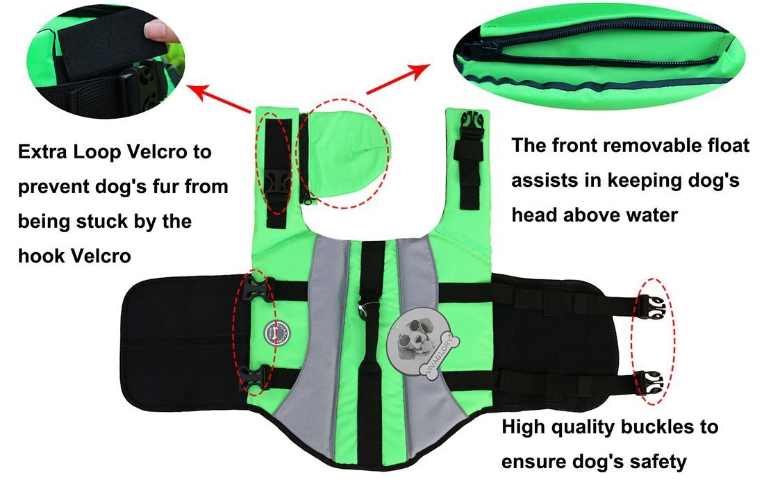 Vivaglory Dog Life Jackets with Extra Padding for Dogs, X-Small - Extra Reflective Green 5