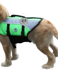 Vivaglory Dog Life Jackets with Extra Padding for Dogs, X-Small - Extra Reflective Green 6