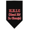 Mirage Pet Head Elf In Charge Screen Print Dog Bandana