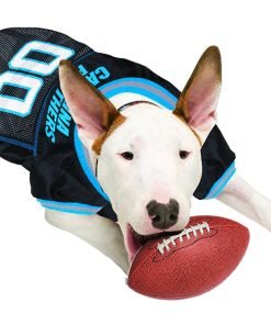 NFL PET JERSEY Football Licensed Dog Jersey 32 NFL Teams Available Comes in 6 Sizes Football Pet Jersey Sports Mesh Jersey Dog Jersey Outfit (Carolina Panthers) 7