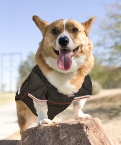 NFL PET JERSEY Football Licensed Dog Jersey 32 NFL Teams Available Comes in 6 Sizes Football Pet Jersey Sports Mesh Jersey Dog Jersey Outfit (Cleveland Browns) 4
