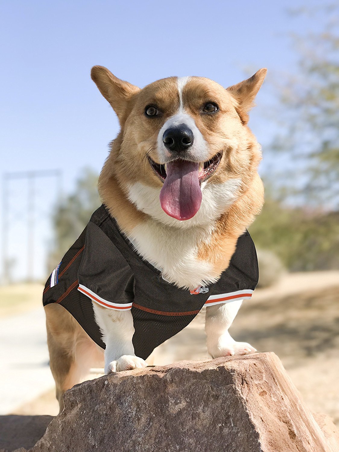 NFL PET JERSEY Football Licensed Dog Jersey 32 NFL Teams Available Comes in 6 Sizes Football Pet Jersey Sports Mesh Jersey Dog Jersey Outfit (Cleveland Browns) 4