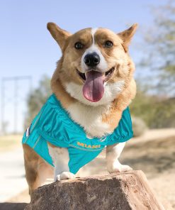 NFL PET JERSEY Football Licensed Dog Jersey 32 NFL Teams Available Comes in 6 Sizes Football Pet Jersey Sports Mesh Jersey Dog Jersey Outfit (Miami Dolphins) 3
