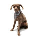 PETLOVEPET Summer Pineapple Pattern Triangle Pet Scarf Dog Bandana Pet Collars For Dog Cat One Size 3