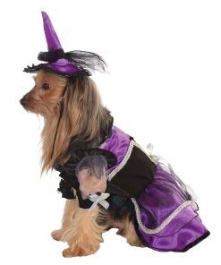 Purple Black Witch Warlock Dog Pet Costumes 2
