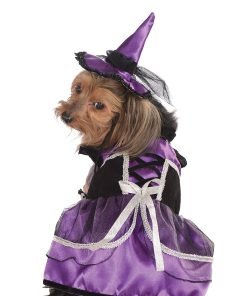 Purple Black Witch Warlock Dog Pet Costumes