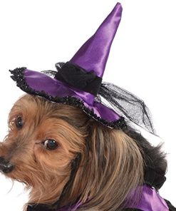 Purple Black Witch Warlock Dog Pet Costumes 3