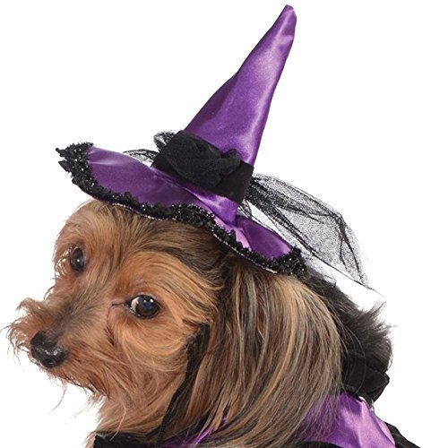 Purple Black Witch Warlock Dog Pet Costumes 3