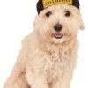 Rubies Costume Company Fetch Champion Pet Hat