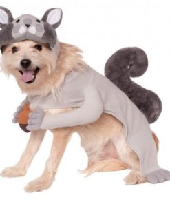 Rubies Costume Company Squirrel Pet Costume, Small