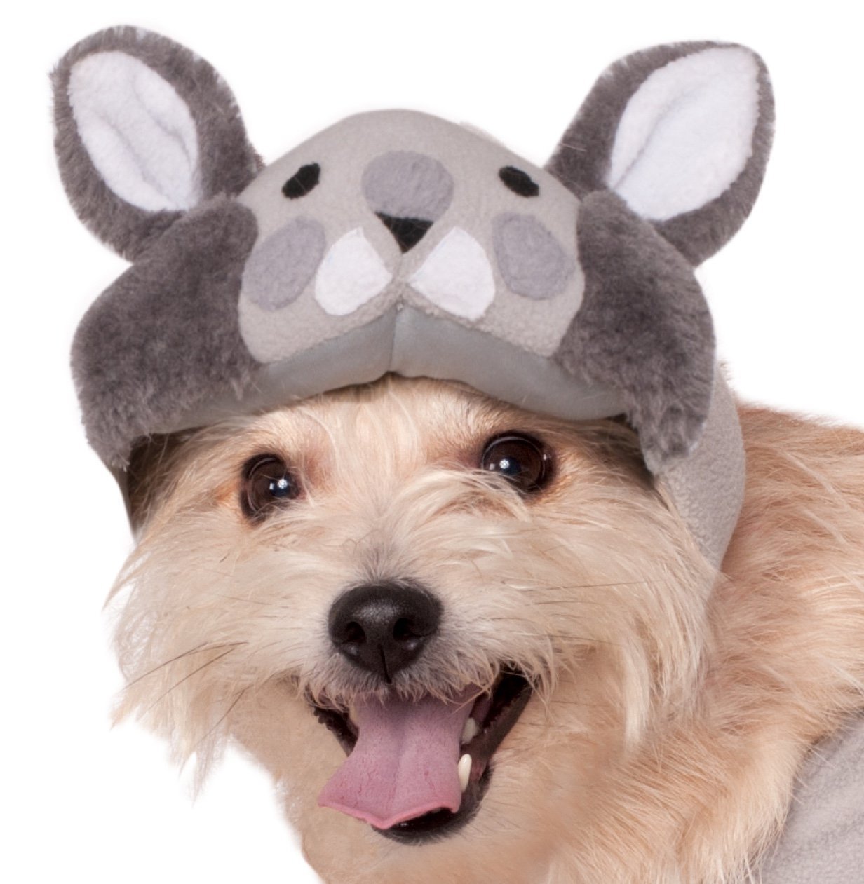 Rubies Costume Company Squirrel Pet Costume, Small 3