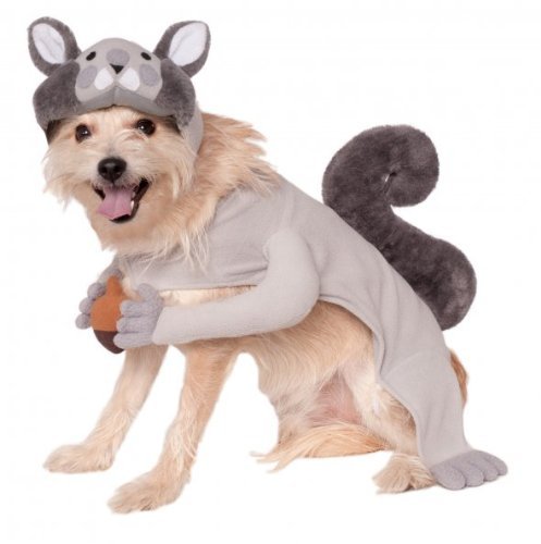 Rubies Costume Company Squirrel Pet Costume, Small