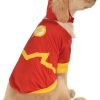 Rubies Costume DC Heroes and Villains Collection Pet Costume-Flash