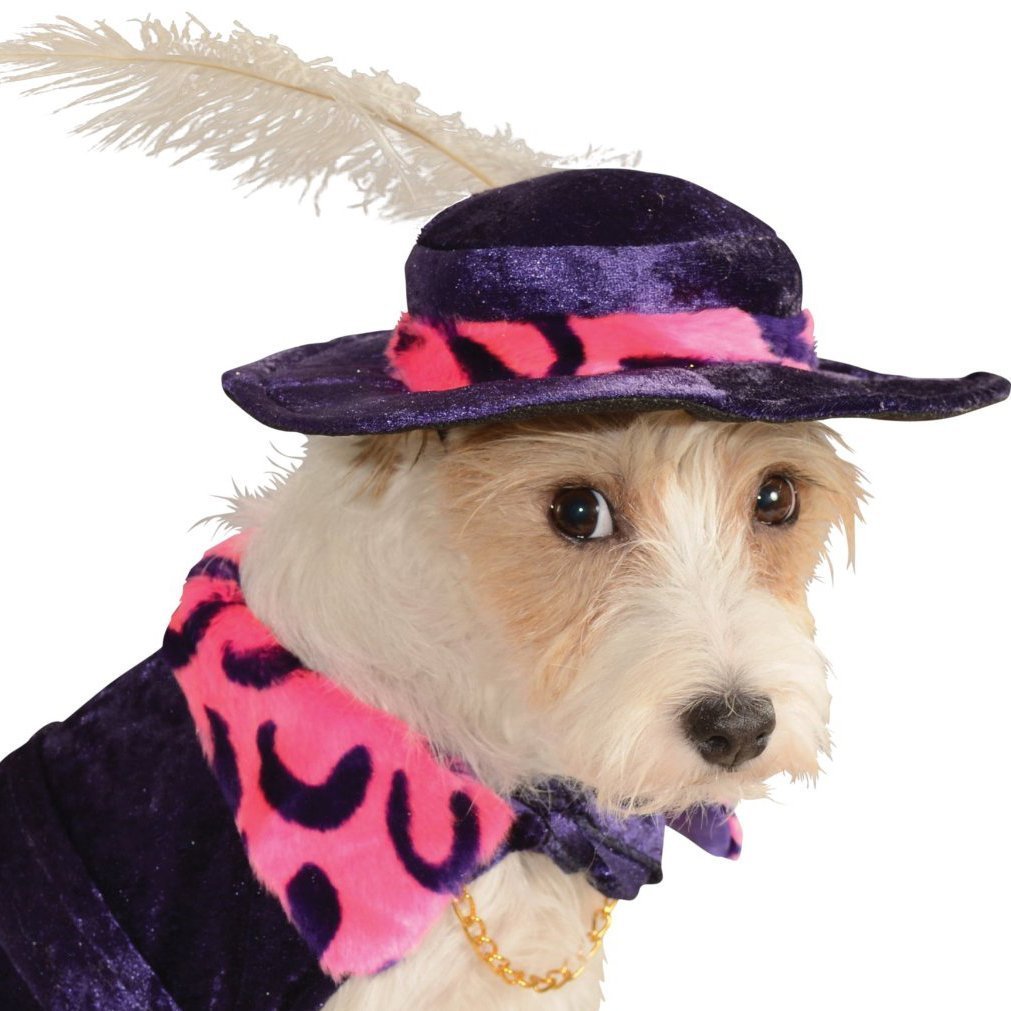 Rubie's Pet Costume Mac Daddy, Small 3