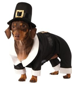 Rubie's Pilgrim Boy Dog Costume