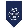 Teachers Dog Screen Print Dog Bandanas