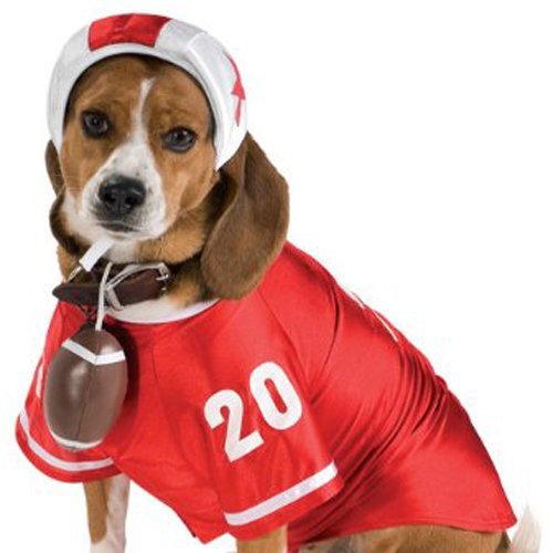 Football Large Star Pet Costume 3