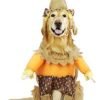 Pet Scarecrow Dog Costume For X-small Dogs by Pet Friendzy