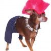Rubies Costume Company Punk Rocker Pet Costume and Wig