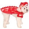 Rubies Costume Company Raptor Dinosaur Pet Costume