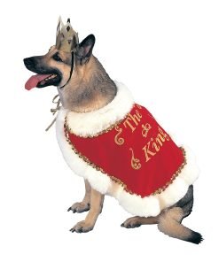 Rubies Costume Halloween Classics Collection Pet Costume, King, Small
