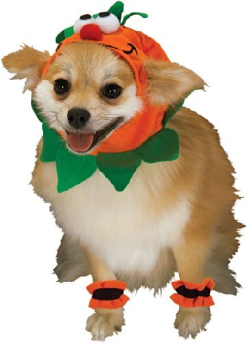 Rubie's Pet Costume, Small, Pumpkin Headpiece with Cuffs
