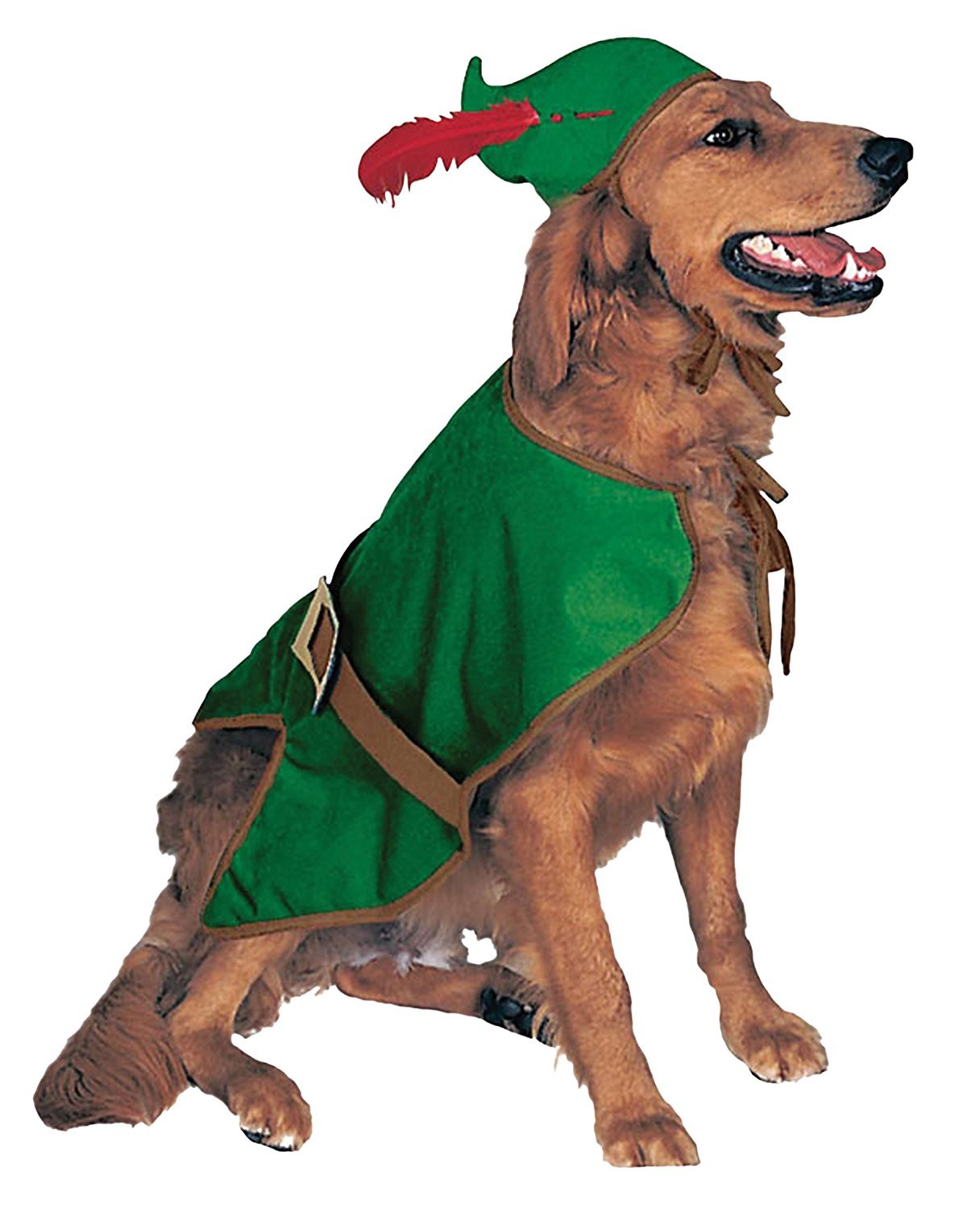 Rubie's Robin Hood Pet Costume, Small