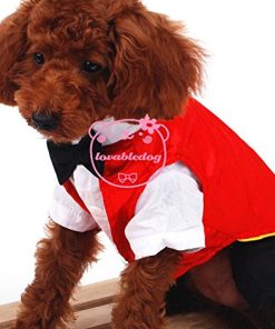 SMALLLEE_LUCKY_STORE Cat Dog Clothes Black Red Vampire Jumpsuit Cloak Coat Costume Small Dog Clothes 5