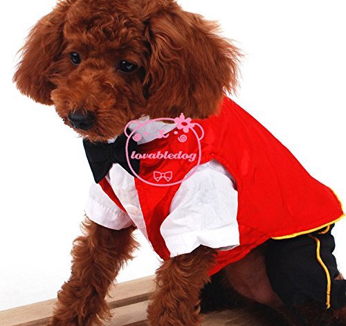 SMALLLEE_LUCKY_STORE Cat Dog Clothes Black Red Vampire Jumpsuit Cloak Coat Costume Small Dog Clothes 5