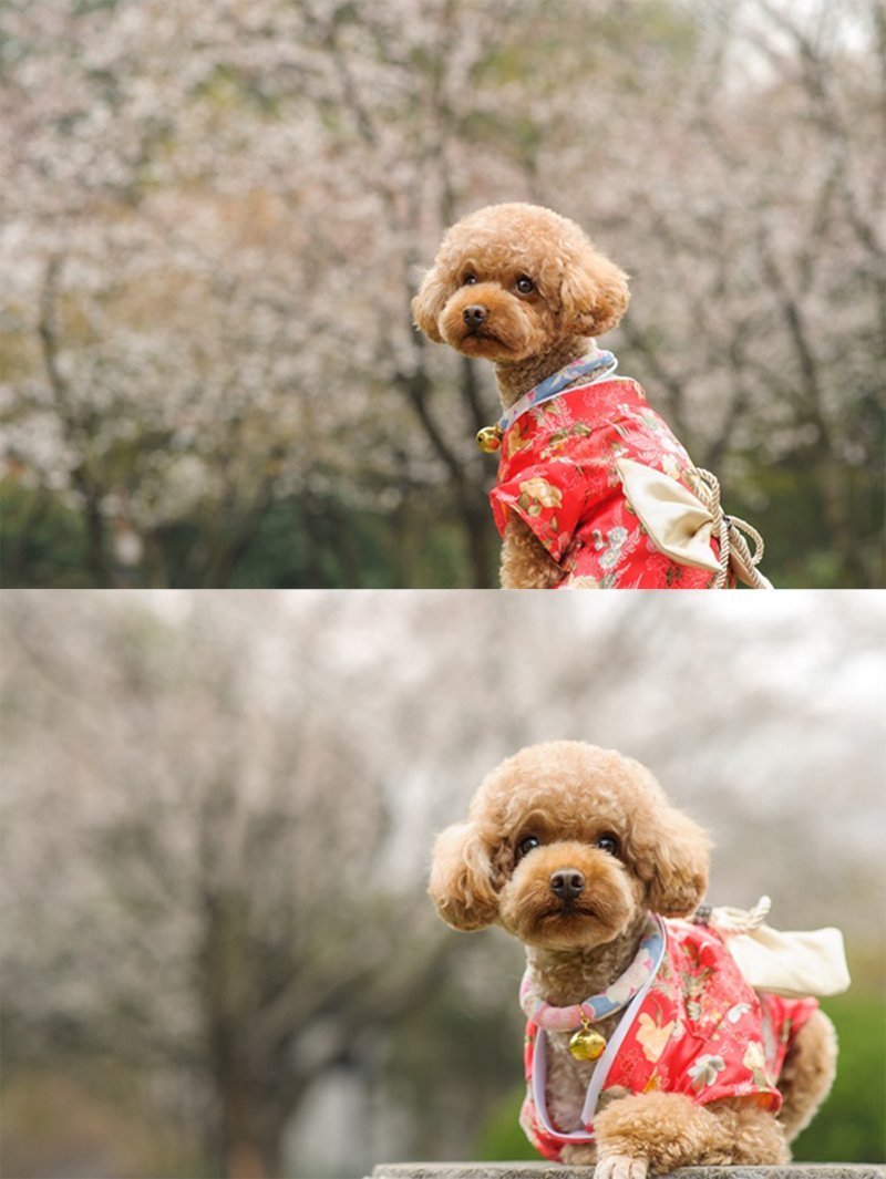 TOPSUNG Dog Clothes Kimono Style Costume Dog Princess Bowknot Dress Clothes For Small Dogs-Cats 2