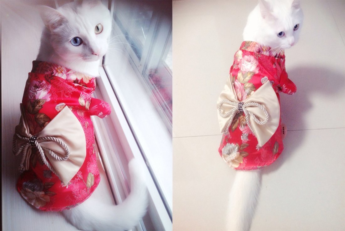 TOPSUNG Dog Clothes Kimono Style Costume Dog Princess Bowknot Dress Clothes For Small Dogs-Cats 3