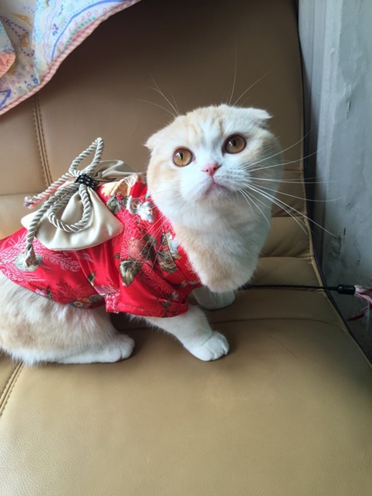 TOPSUNG Dog Clothes Kimono Style Costume Dog Princess Bowknot Dress Clothes For Small Dogs-Cats 4
