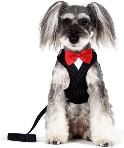 Alfie Pet by Petoga Couture - Osman Tuxedo Step-in Harness and Leash Set - Colo - Black, Size- XS