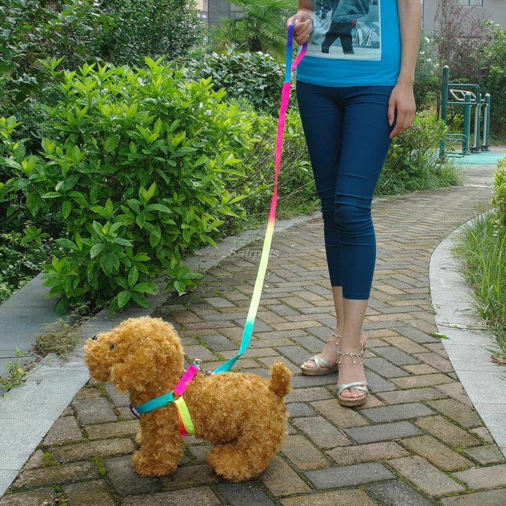 BOSUN(TM)Colorful Nylon Dog Harness & Leash Set Puppy & Cat Harness & Lead Set For Chihuahua Teddy Poodle - 2
