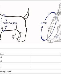 Blueberry Pet Classic Solid Color Adjustable Dog Harness, 12 Colors, Matching Collar & Leash Available Separately - 6