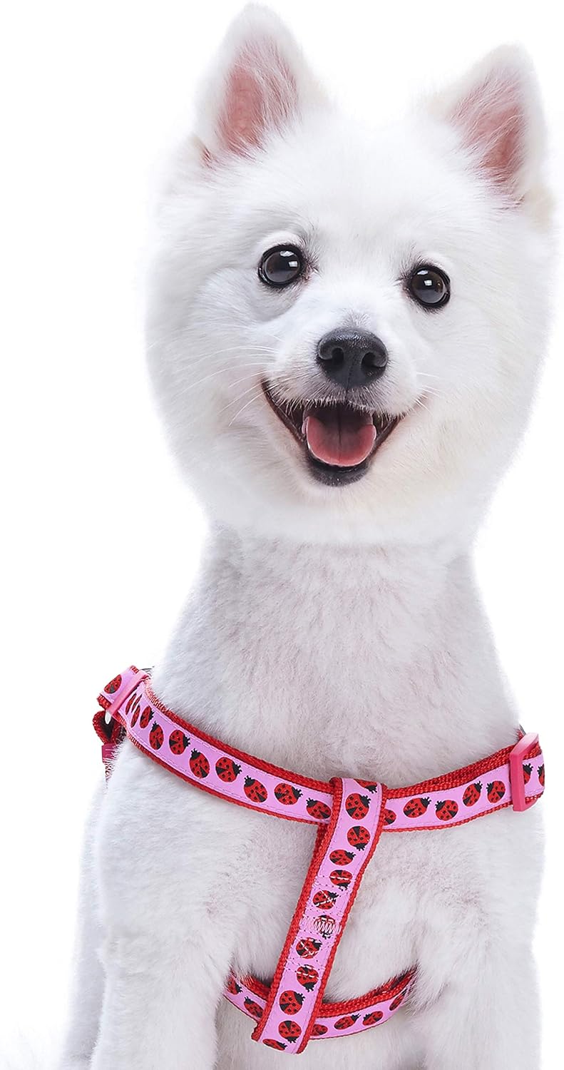 Blueberry Pet Pink Flamingo or Ladybug Designer Dog Harness, Matching Collar & Leash Available Separately