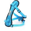 Chest Plate Harness with Adjustable Straps, Reflective, Padded for XX-Small Dogs - Blue - 1