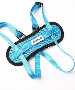 Chest Plate Harness with Adjustable Straps, Reflective, Padded for XX-Small Dogs - Blue - 4