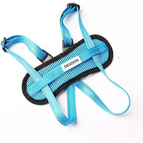 Chest Plate Harness with Adjustable Straps, Reflective, Padded for XX-Small Dogs - Blue - 4